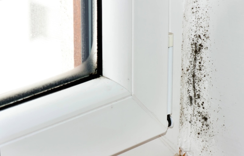 Air Quality Testing Services Air Quality Testing Services