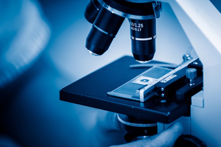 Indoor Allergen Testing